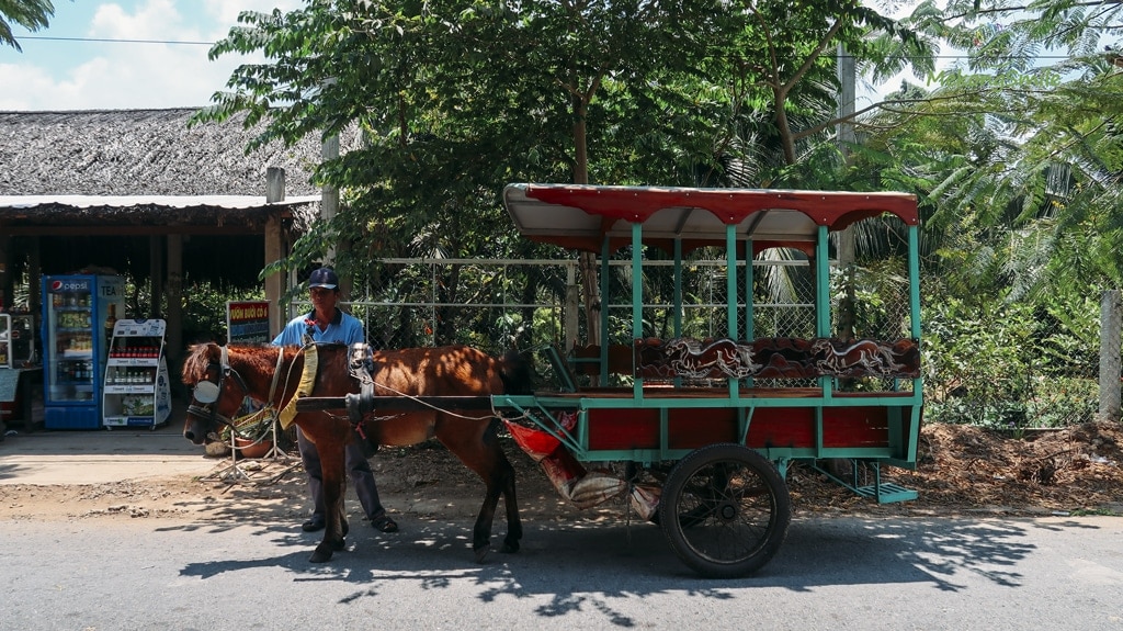 Đi xe ngựa trên đường làng - tour du lịch Tiền Giang Bến Tre 1 ngày
