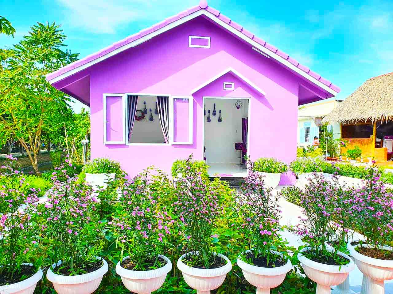 Căn nhà màu tím với nhiều loài hoa màu tím xung quanh