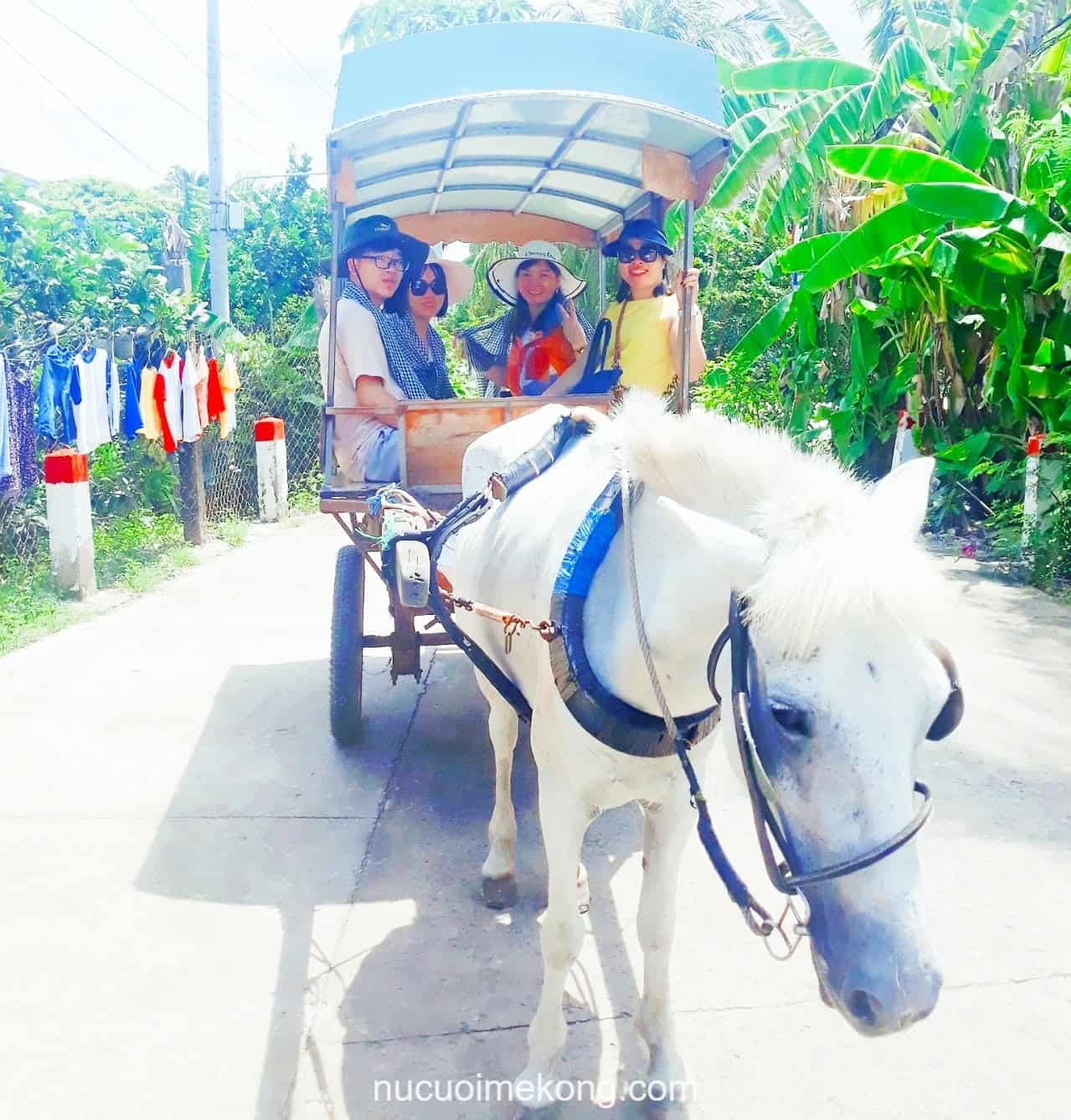 Trải nghiệm đi xe ngựa truyền thống trong đường làng