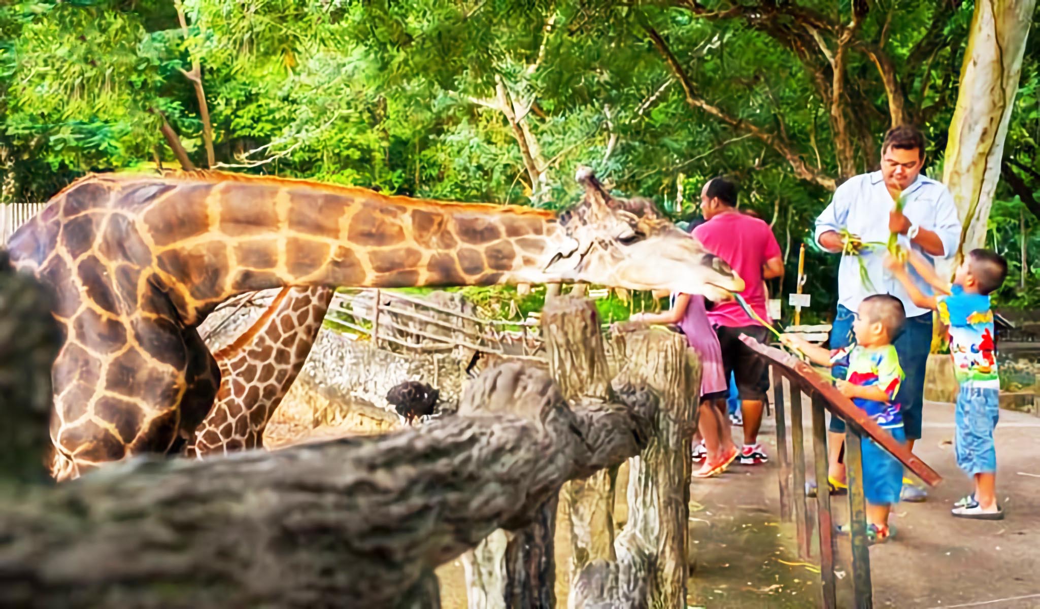 Vườn thú Khao Kheow Thái Lan