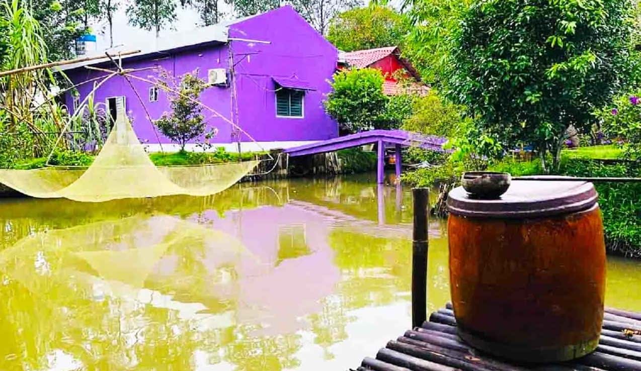 Ao cá tại căn nhà màu tím với chiếc cầu màu tím