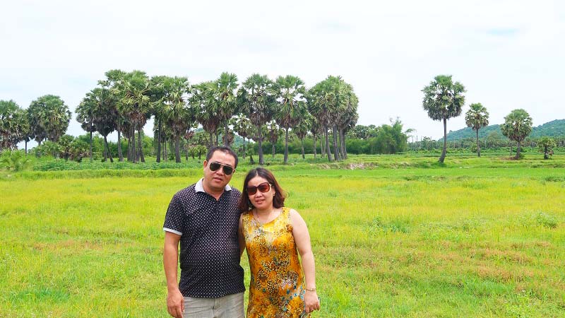 Check-in cánh đồng thốt nốt cực đẹp tại An Giang