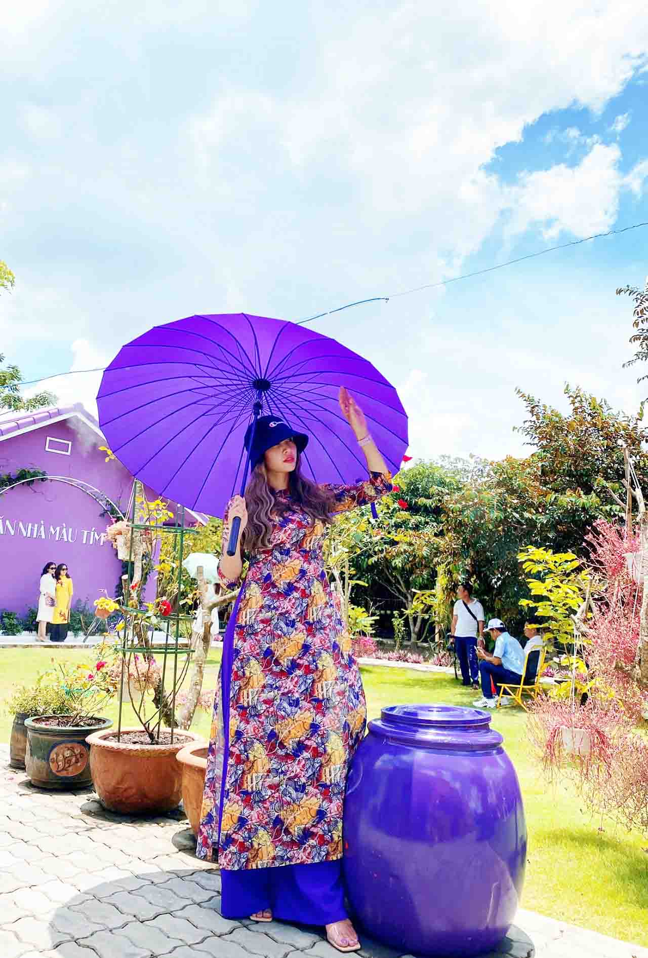 Cây dù (ô) và cái lu màu tím