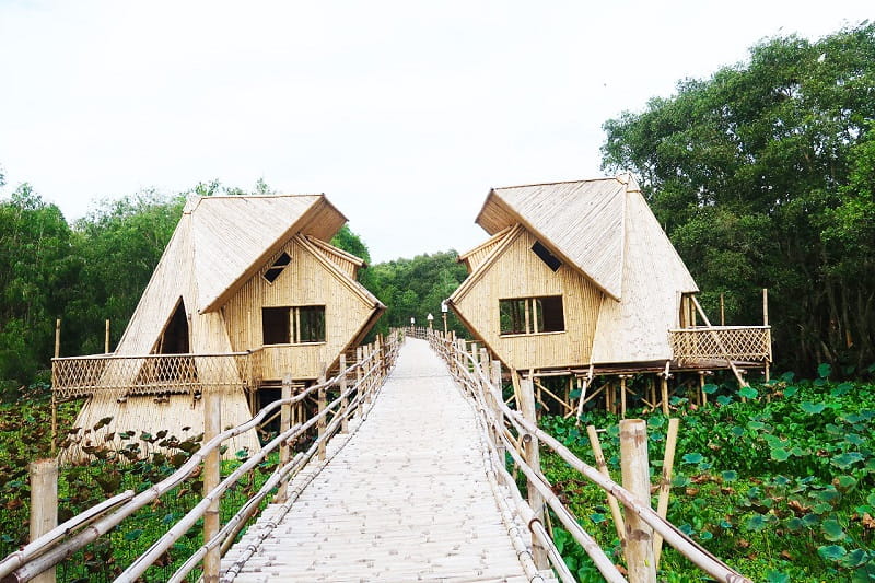 Check-in cây cầu tre xuyên rừng dài nhất Việt Nam tại rừng tràm Trà Sư
