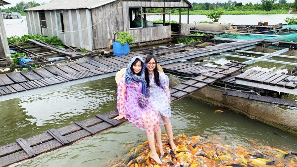 Bức ảnh đẹp tại làng cá bè Cồn Sơn mặc dù mưa