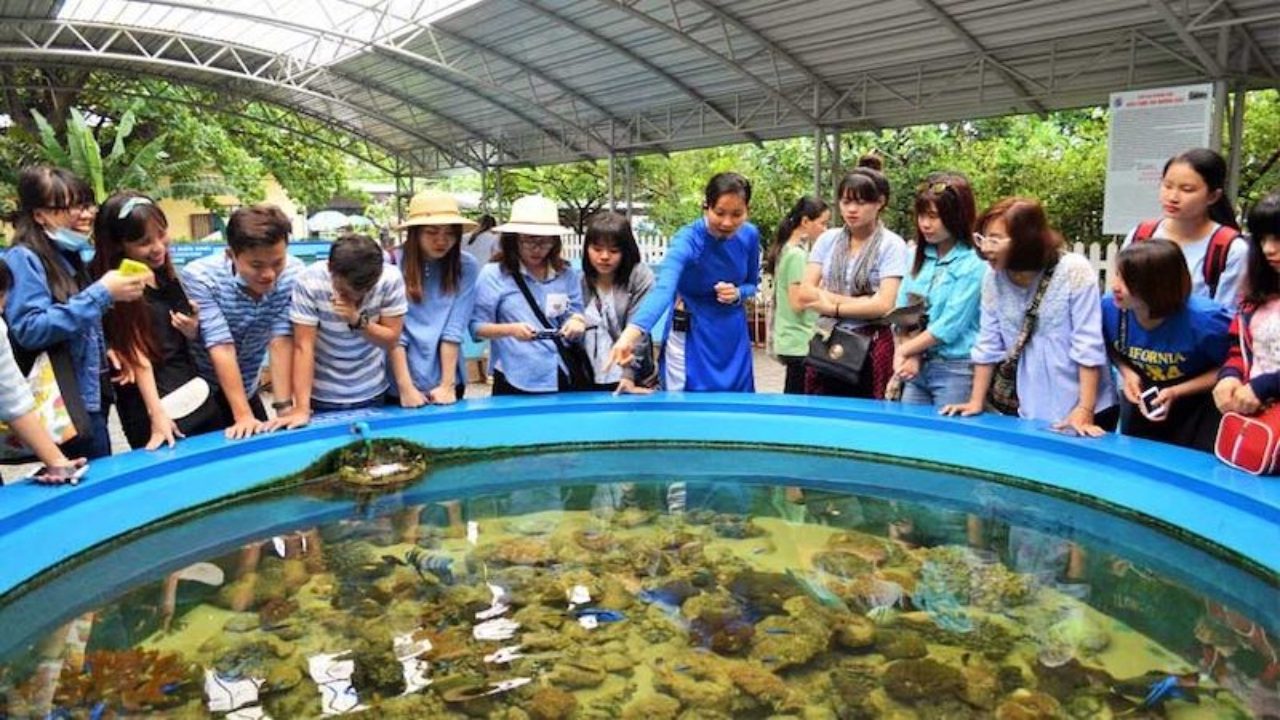 Địa chỉ viện hải dương học Nha Trang