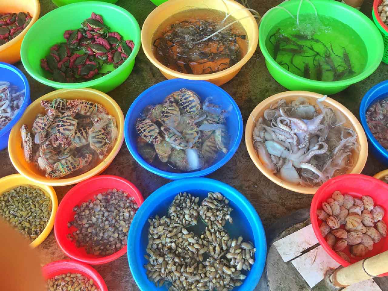 Hải sản tươi sống ở chợ biển Gò Công