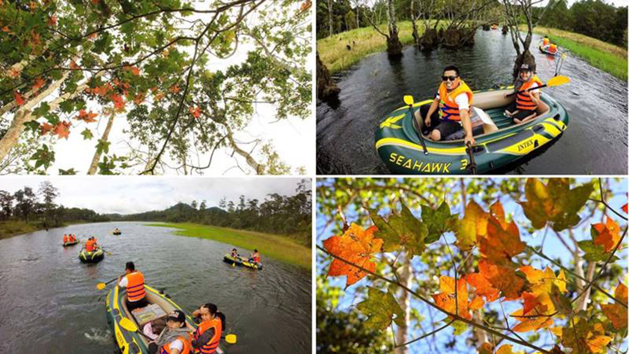 Chèo thuyền Kayak: Hoạt động chèo thuyền Kayak được khá nhiều khách du lịch trong và ngoài nước đến đây tham gia.