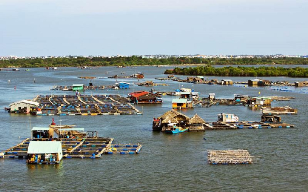 Khung cảnh làng bè Long Sơn - Hồ Tràm Vũng Tàu