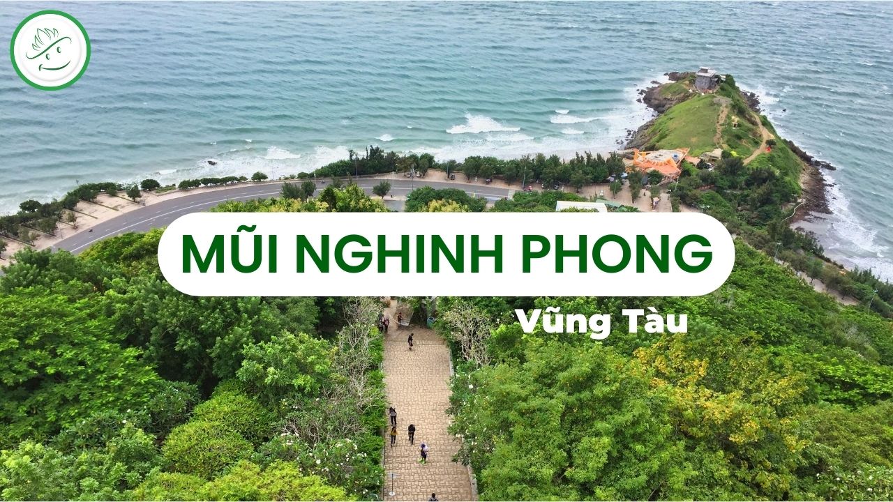 Mũi Nghinh Phong avt