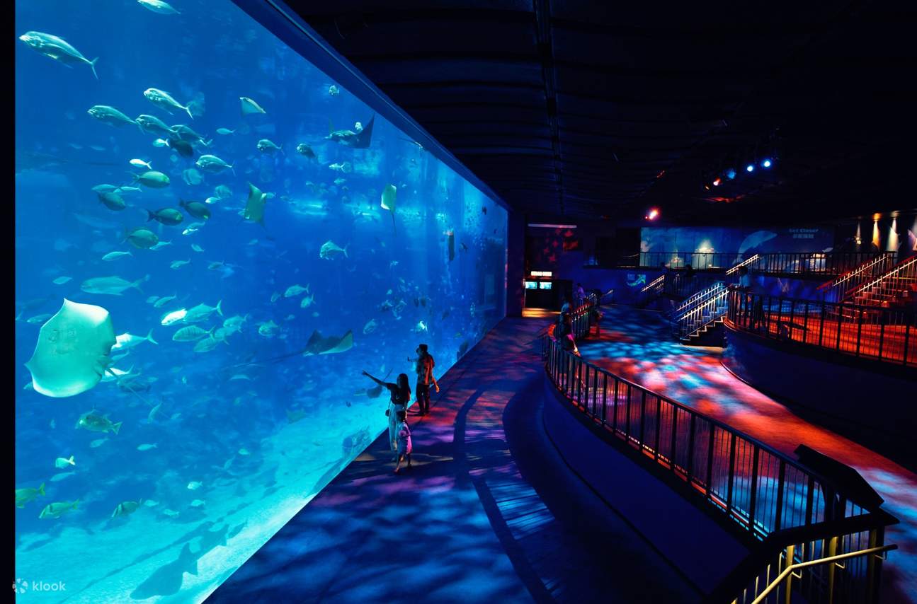 Thăm thú thuỷ cung lớn nhất thế giới S.E.A Aquarium