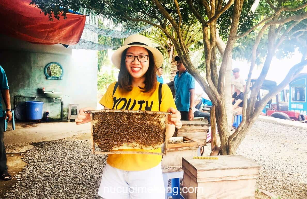 Tham quan trại nuôi ong lấy mật truyền thống - tour du lịch Sài Gòn miền Tây 3 ngày 2 đêm