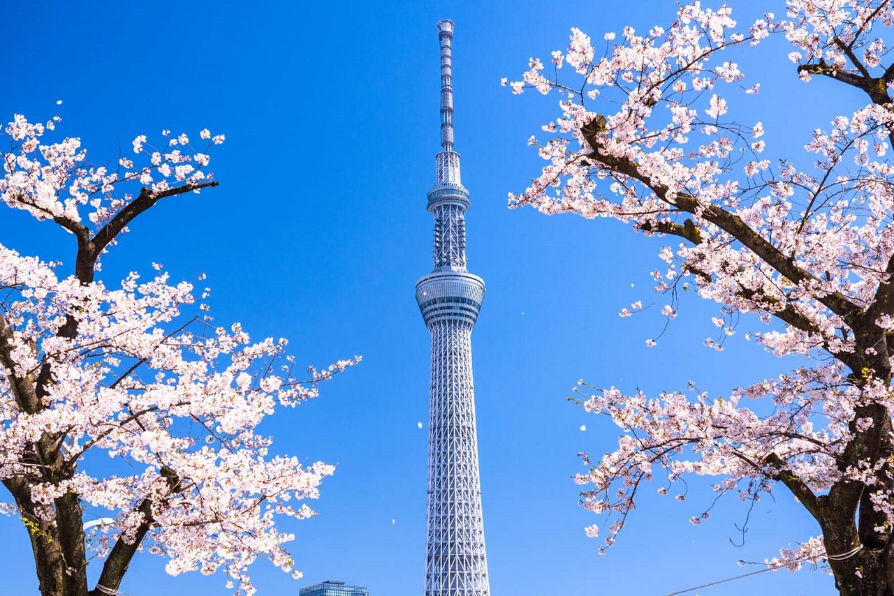 Tour du lịch Nhật Bản 6N5Đ: Ngước nhìn tháp Tokyo Skytree cao thứ 2 thế giới