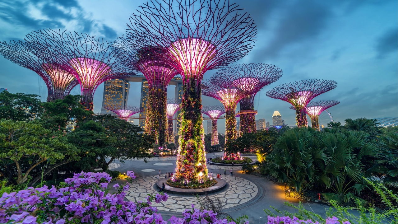Tour du lịch Singapore 5N4Đ: Tham quan vườn thực vật Garden By The Bays 