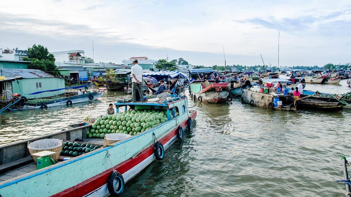 Tour Miền Tây 1 Ngày Cần Thơ