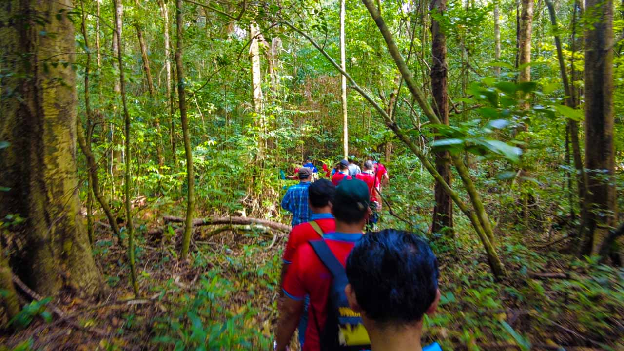 Trekking rừng Hòn Thơm