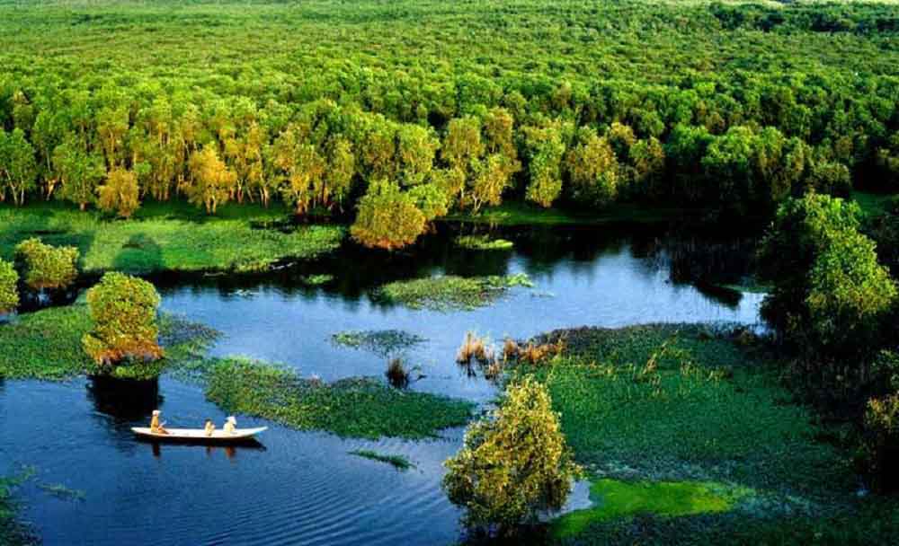 Vườn Quốc gia U Minh Thượng đẹp nao lòng (Nguồn: Internet)